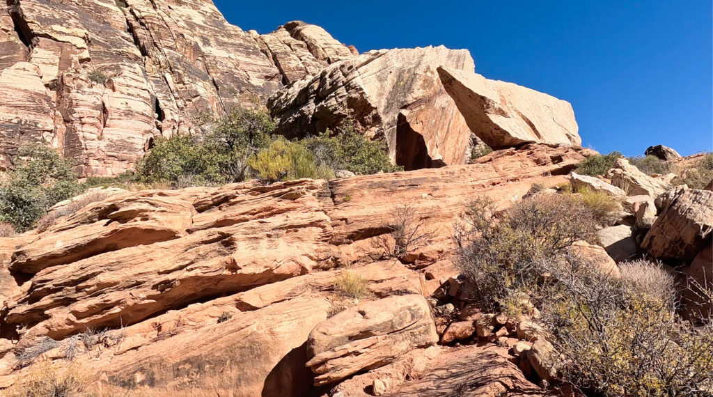 birdland rock climb red rocks